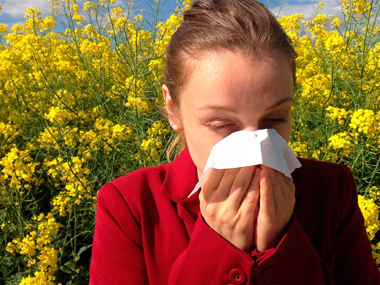 allergien heuschnupfen, pollenallergie